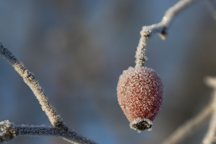 Eiszeit_001.jpg