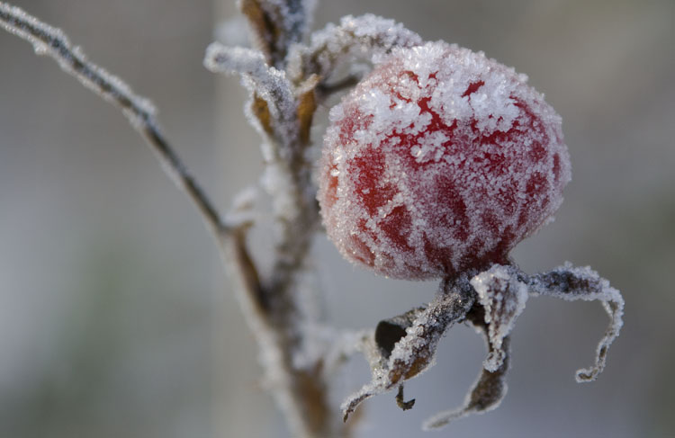 Eiszeit_007.jpg