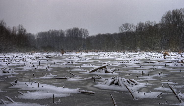 Januar_004_5_6.jpg