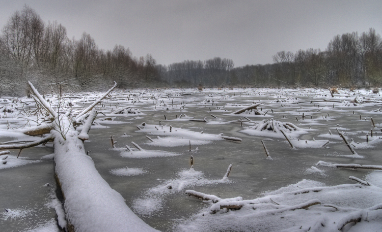 Januar_007_8_9.jpg