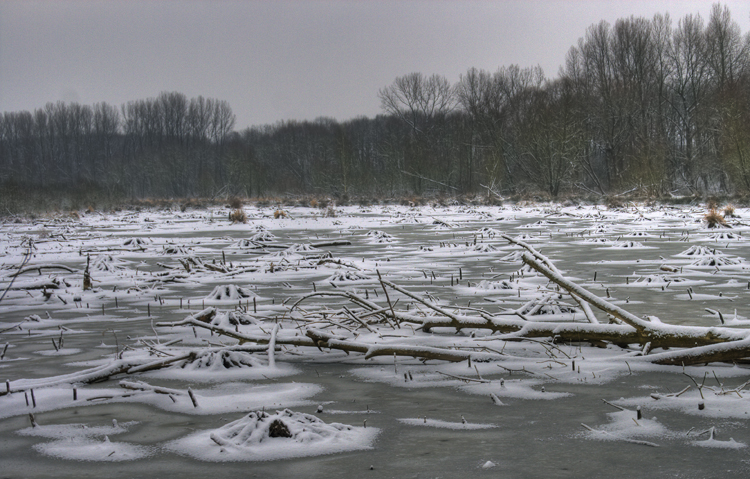 Januar_016_7_8.jpg