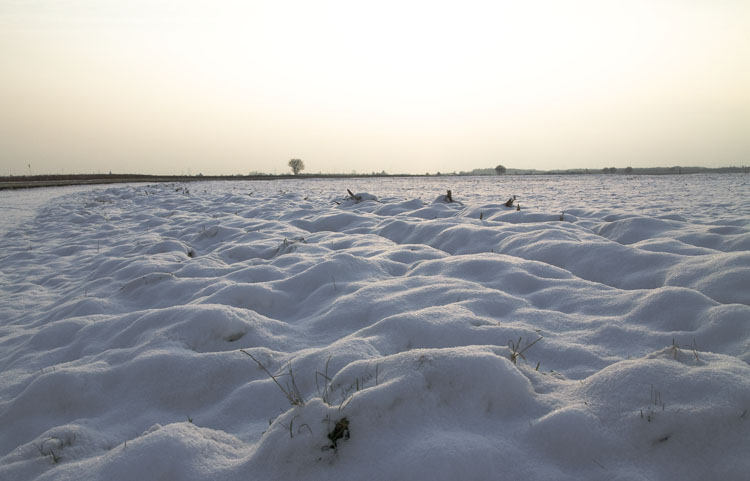 Schnee_001.jpg
