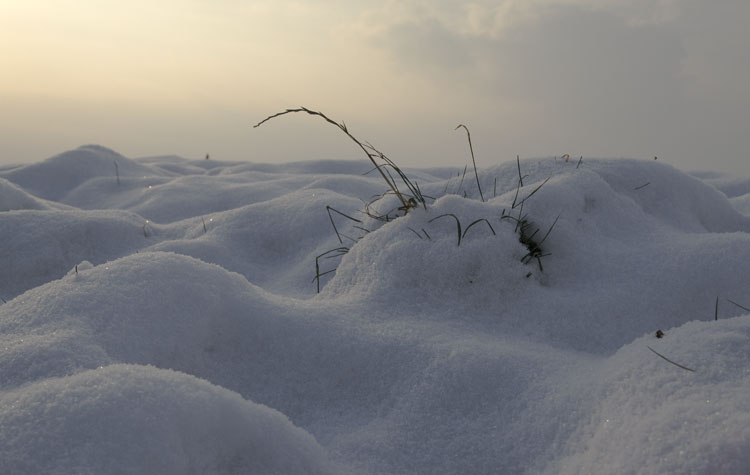Schnee_003.jpg