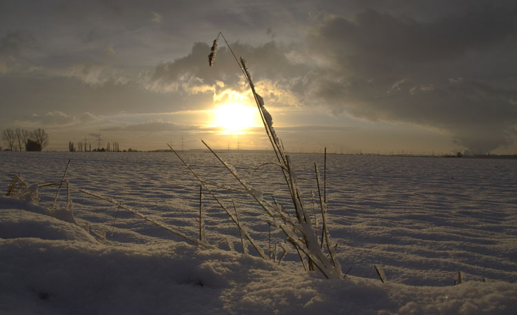 Schnee_015.jpg