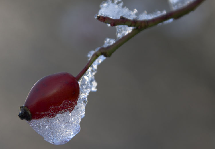 Winter_002.jpg