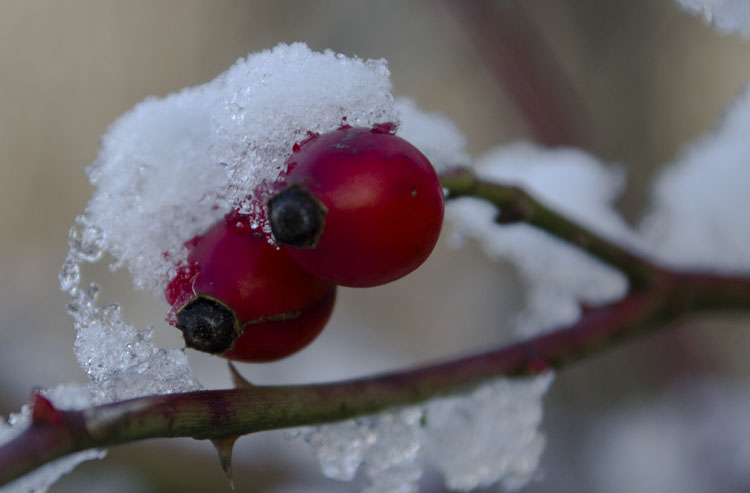 Winter_003.jpg