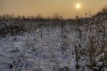 005_4_6.jpg