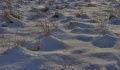 010_1_2.jpg