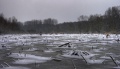 Januar_004_5_6.jpg