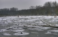 Januar_016_7_8.jpg