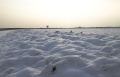 Schnee_001.jpg