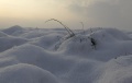 Schnee_003.jpg