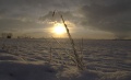 Schnee_015.jpg
