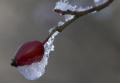 Winter_002.jpg